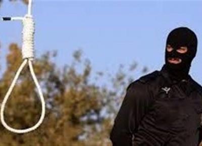 تمساح خلیج فارس اعدام شد