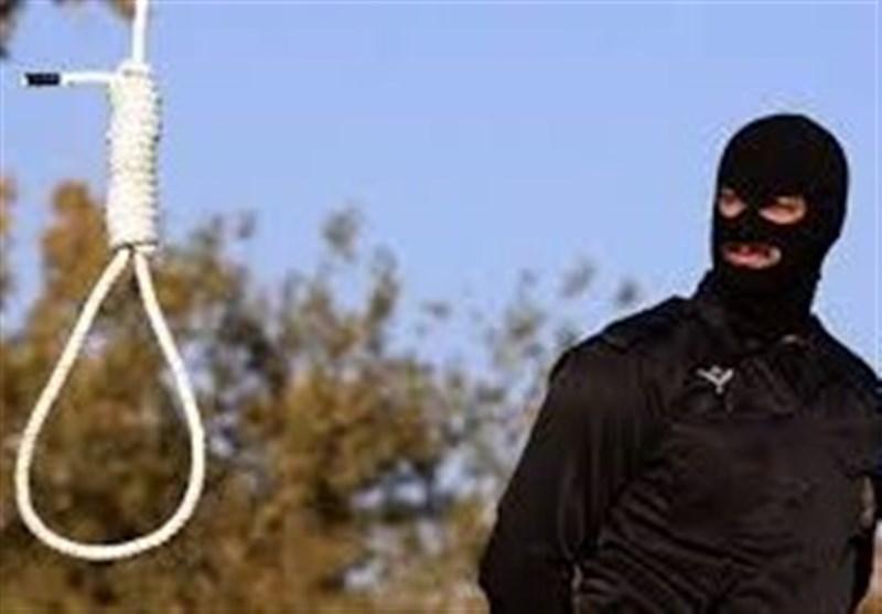 تمساح خلیج فارس اعدام شد تمساح خلیج فارس اعدام شد