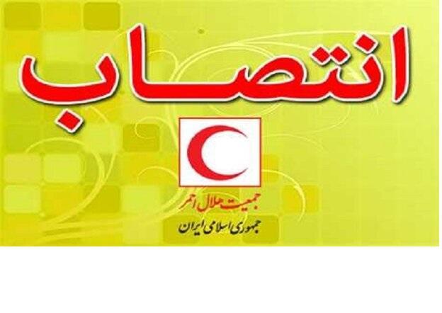 سرپرست معاونت امور بین الملل و حقوق بشردوستانه هلال احمر سرپرست معاونت امور بین الملل و حقوق بشردوستانه هلال احمر منصوب شد