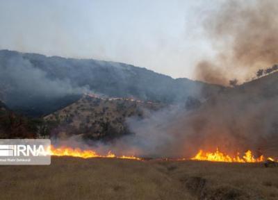 خبرنگاران محیط زیست برای مقابله با آتش سوزی های احتمالی جنگل ها دست به کار شد